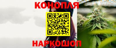шишки Кандалакша
