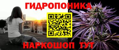 соль ск Канаш