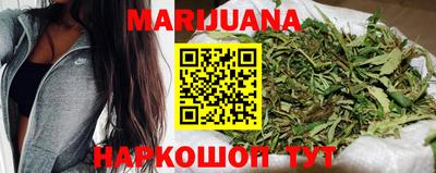 шишки Кандалакша