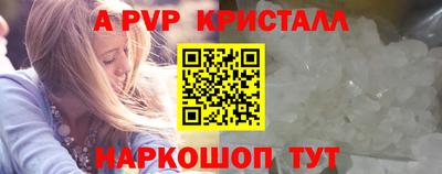 шишки Кандалакша