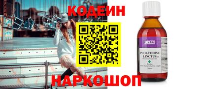 шишки Кандалакша