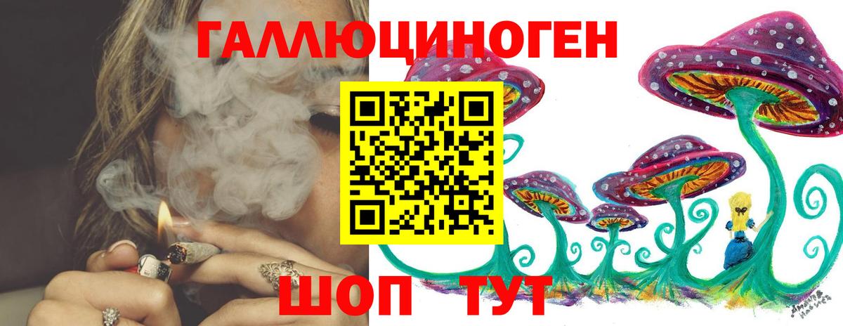 Галлюциногенные грибы мицелий Курчалой
