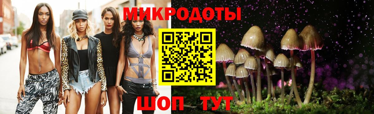 Курчалой  Галлюциногенные грибы GOLDEN TEACHER  Вход с VPN 