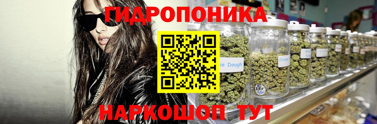 Конопля планчик  Бошки марихуана конопля  Вход с VPN  Курчалой 